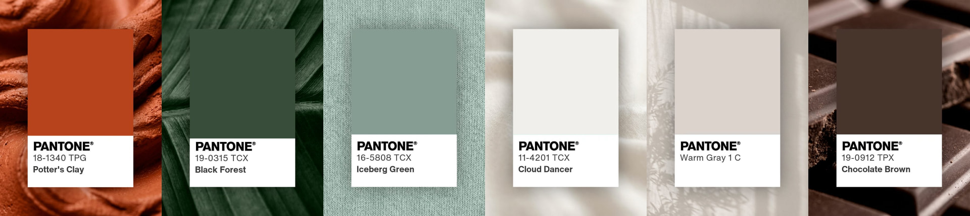 Paleta da NEWELLA com tons terracota, verde floresta, verde acinzentado e neutros